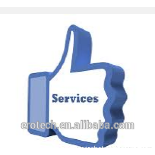Years professional electronic exhibition service